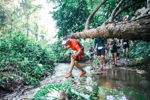 BIB: 
                            <button type="button" onclick="openModal(25449549)" class="btn btn-primary btn-sm float-right btn-popup" data-toggle="modal" data-target=".modal-high-quality">
                        <i class="fas fa-shopping-cart"></i> Add to Cart
                    </button>
                                            <button type="button" onclick="isThisMe(25449549, true)" class="btn btn-success btn-sm float-right btn-popup btn-isme hidden" data-toggle="tooltip" data-placement="bottom" title="นี่คือรูปของคุณใช่ไหม คลิกที่นี่เพื่อเอาเข้าอัลบั้ม">
                        <i class="fas fa-plus"></i> Add to album
                    </button>
                    <button type="button" onclick="isThisMe(25449549, false)" class="btn btn-warning btn-sm float-right btn-popup btn-isnotme hidden">
                        <i class="fas fa-ban"></i> Remove from album
                    </button>